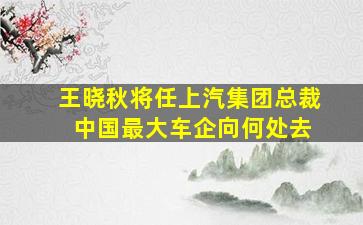 王晓秋将任上汽集团总裁 中国最大车企向何处去